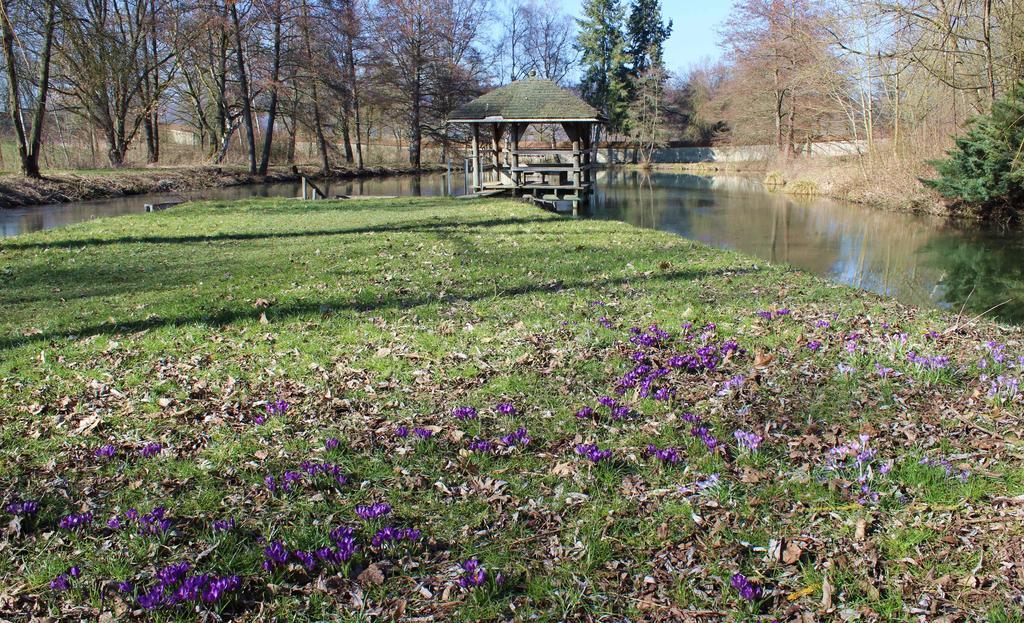 Tagungshaus Kloster Heiligkreuztal Altheim  Exteriör bild